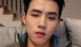 最新爆料任豪事件视频完整版,真相与争议交织